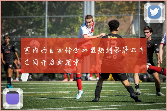 塞内西自由转会加盟热刺签署四年合同开启新篇章
