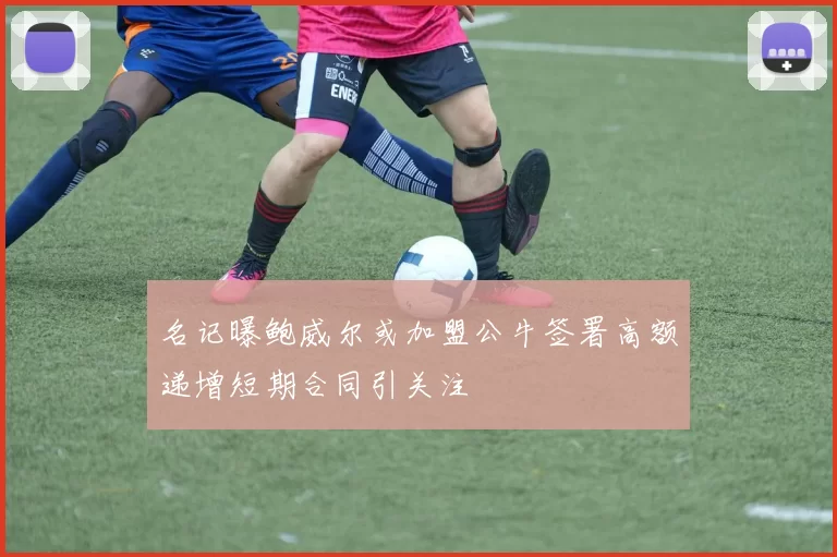 名记曝鲍威尔或加盟公牛签署高额递增短期合同引关注
