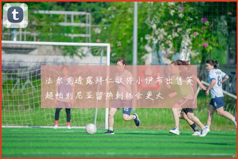 法尔克透露拜仁欲将小伊布出售英超帕利尼亚留热刺机会更大